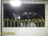 Unitixs Vascular Multilab Series II TRUDOP 5mHz Doppler Probe *TESTED*