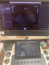 PHILIPS S8-3 Ultrasound Transducer
