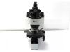 OLYMPUS BX60 Microscope