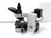 OLYMPUS BX60 Microscope
