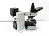 OLYMPUS BX60 Microscope