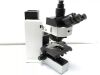 OLYMPUS BX60 Microscope