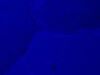 ZEISS Axiovert 200m Microscope