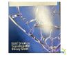 CORDIS PB1850BSS Cordis PALMAZ blue .018 Transhepatic Biliary Stent 5mm 18mm 80cm REF PB1850BSS EXPIRED