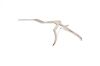 CODMAN ( 46-2602 ) Micro Rongeur, Bayonet, 40 Degree Up-Bite, 2mm
