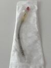 EDWARDS Ez Glide Aortic Cannula  EZS21TA  Exp.2023-10  (B14) Ez Glide Aortic Cannula