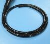 FUJI EG-200FP Endoscope