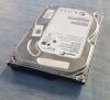 SEAGATE 9YP131 HARD-DISK ST3250312AS 250GB SATA 7 PIN 3.5 INCH   CT Workstation