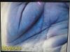 ACMI CIRCON Circon ACMI MV-10002 Endoscopy Circon ACMI MV-10002 Camera Head W/ Coupler