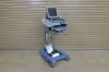 SONOSITE Fujifilm  M-Turbo Ultrasound System P08189-34 w/ P21x5-1 and L25x13-6 MHz Transducer - 174533