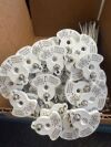 MEDTRONIC MIX 21lbs Mix Set Of CD Horizon Spinal System Rod