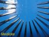 PILLING Lot of 16  101012 In-Ex Kelly Forceps; Straight 5½