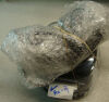 FISHER & PAYKEL Fisherbrand MINI CENTRIFUGE GUSTO VERY  CONDITION