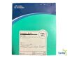 BOSTON SCIENTIFIC 168190 Boston Scientific Excelsior SL-10 2 TIP PRE-SHAPED 45 Microcatheter 150cm x 6cm REF 168190 EXPIRED