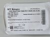 DEPUY DBX MIX 5cc  058050 Exp.2023-10  (V18) DBX MIX 5cc