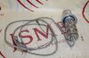 SEARLE Scintillation Analytic Inc., Detector