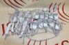 MINDRAY E9-4 Lot of  Ultrasound Probe For Parts Or Repair Ultrasound Transducer