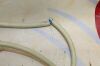 MINDRAY L11-3VNs Linear Probe
