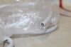 MINDRAY 65C15Ea Ultrasound Transducer