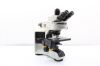OLYMPUS BX53 Microscope