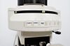 NIKON FN1 Microscope