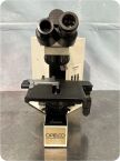 OLYMPUS BX40F4 Fluorescence Microscope