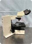 OLYMPUS BX40F4 Fluorescence Microscope