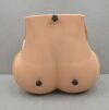 LIMBS & THINGS Limbs &amp; Things PROMPT Birthing Simulator Standard 80000 W/ Carrying Case - 176566 Birthing Simulator