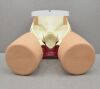 LIMBS & THINGS Limbs &amp; Things PROMPT Birthing Simulator Standard 80000 W/ Carrying Case - 176566 Birthing Simulator