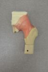 CHAMBERLAIN GROUP Hip Labrum Trainer 6005 W/ Case - 176727 Labrum Trainer