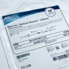 BOSTON SCIENTIFIC 405-116 Open End Ureteral Axxcess Catheter 6F