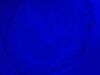 ZEISS AXIO Observer.A1 Microscope