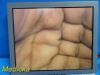 OLYMPUS OEV191 19" Color Display LCD Monitor