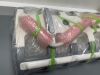 SIEMENS PA 36 MR Coil MRI Coil