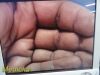 STRYKER Endoscopy AIM Ref 1588-020-122