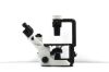 OLYMPUS CKX53SF Microscope