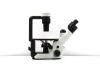 OLYMPUS CKX53SF Microscope