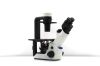 OLYMPUS CKX53SF Microscope