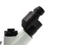 OLYMPUS CKX53SF Microscope