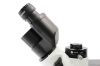OLYMPUS CKX53SF Microscope