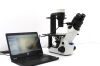 OLYMPUS CKX53SF Microscope