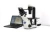 OLYMPUS CKX53SF Microscope