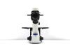 OLYMPUS CKX53SF Microscope