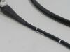 OLYMPUS BF-UC180F Bronchoscope