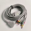 GE  REF:2104726-001  ECG Value Cable 10 Lead Cable /LDWR IEC/LOT 20220721001 ECG unit