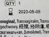CONMED Anchor Tissue  TRS-TV-25  Exp.2023-05  (M8) Anchor Tissue