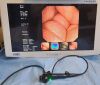 OLYMPUS BF-1T260 Bronchoscope