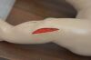 NASCO Life/Form Infant Intraosseous Infusion Simulator LF1108 Trainer - 180880 Infusion Simulator
