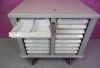 METROSONICS Lionville 64 Drawer Medication Med Cart 2 Side Pharmacy Crash Stand w/ Key
