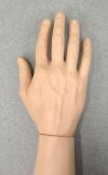 LAERDAL Lot of 4  Nursing Kelly Arms and Leg Parts - 181085 Training Aids